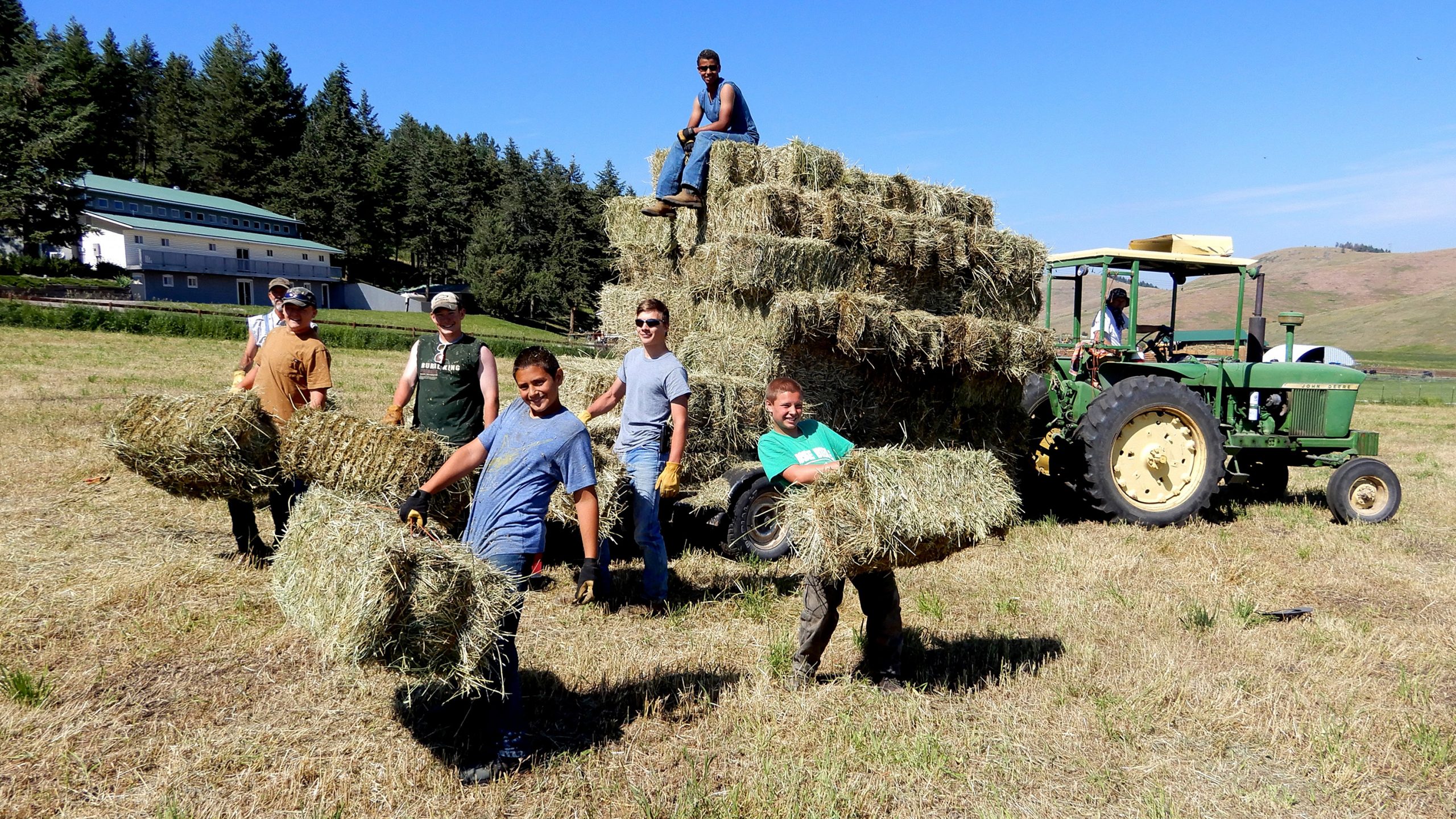 Pinehaven kids carrying bales of hay